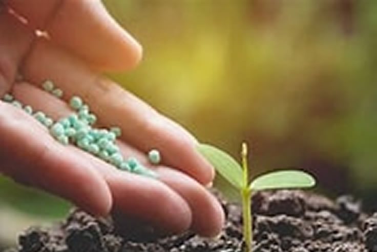 Fertilizer and Seeds