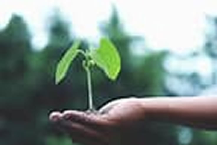 Sales Support Service